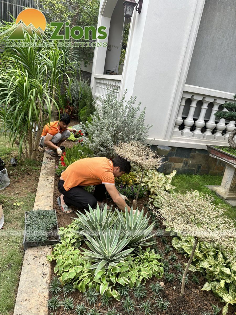 Chăm sóc, bảo dưỡng sân vườn